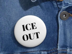ice out button pin